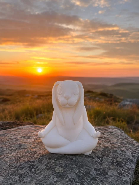 Chú thỏ thiền định (Meditating Rabbit) - Image 1