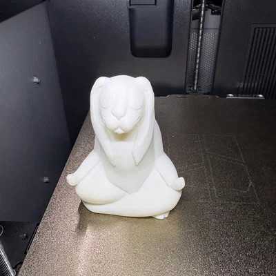 Chú thỏ thiền định (Meditating Rabbit)