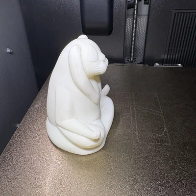 Chú thỏ thiền định (Meditating Rabbit)