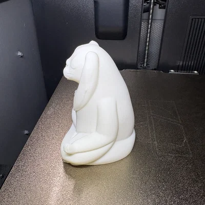 Chú thỏ thiền định (Meditating Rabbit)