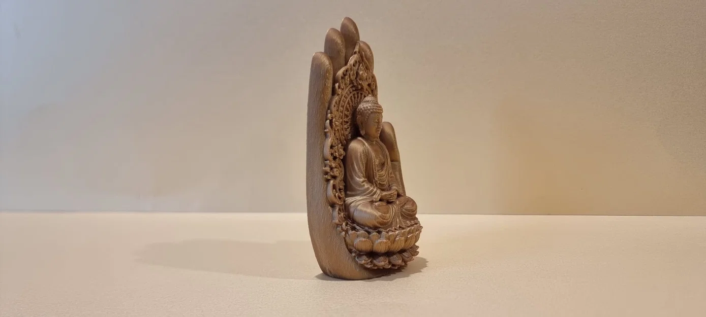 Bàn Tay Phật Che Chở - Image 2
