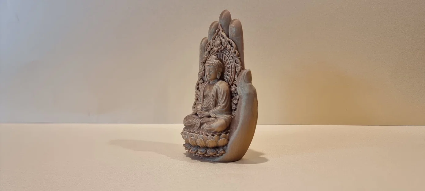 Bàn Tay Phật Che Chở - Image 4