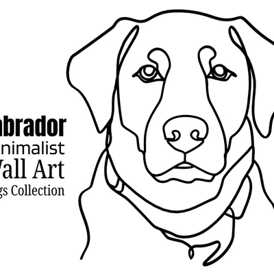 Tranh treo tường tối giản Labrador – Decor hình bóng cún cưng sang trọng