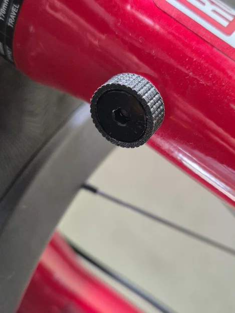 Nắp che bảo vệ van chân phuộc Rockshox Zeb (Lyric, Boxxer) - Image 3