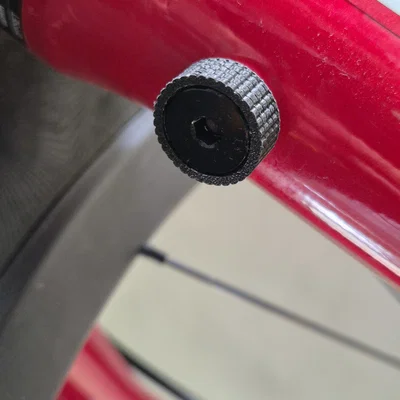 Nắp che bảo vệ van chân phuộc Rockshox Zeb (Lyric, Boxxer)
