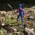 Bộ sưu tập giáo dành cho Dummy 13 - Thumbnail 1