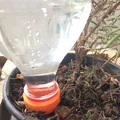 Bộ chuyển đổi tưới cây tự động cho chai nhựa PET - Thumbnail 3