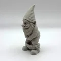 Caught in the Garden - Chú lùn tinh nghịch bị bắt quả tang - Thumbnail 3