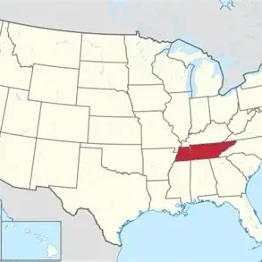 Bản đồ linh hoạt Tennessee (Tennessee Flexi Map)
