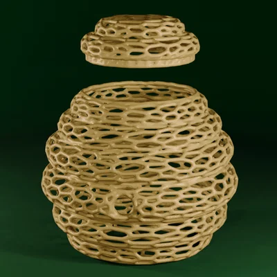 Beehive Voronoi - Hộp Đựng Kiểu Tổ Ong