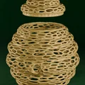 Beehive Voronoi - Hộp Đựng Kiểu Tổ Ong - Thumbnail 2