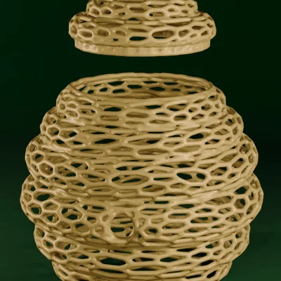 Beehive Voronoi - Hộp Đựng Kiểu Tổ Ong