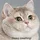 Gambic_2417463