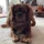 SUNLU_871592
