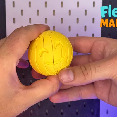 Flexi Happy Twist - Mô hình khớp nối mặt cười vui nhộn in liền khối
