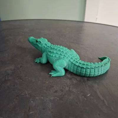 Mô hình cá sấu chân thực (Realistic Crocodile)