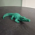 Mô hình cá sấu chân thực (Realistic Crocodile) - Thumbnail 4