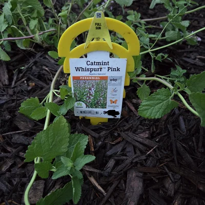 Thẻ Gắn Chậu Cây (Planter Tag)