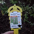 Thẻ Gắn Chậu Cây (Planter Tag) - Thumbnail 5