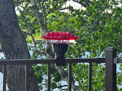 Cốc Chặn Kiến Cho Máng Ăn Chim Hummingbird - Image 1