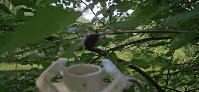 Dụng cụ hái dâu tằm Mulberry Picker - Image 2
