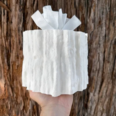 S33D - HOME - COVER - TBS - Redwood