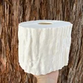 S33D - HOME - COVER - TBS - Redwood - Thumbnail 6