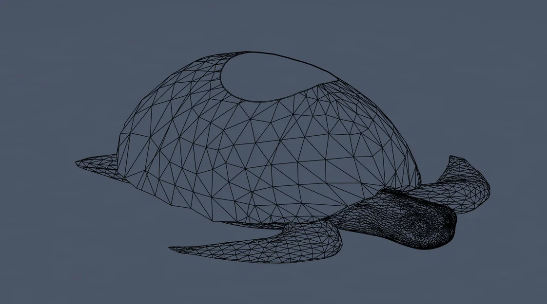 Mô hình in 3D Hộp đựng đồ hình Rùa biển (Sea Turtle Container) - Image 2