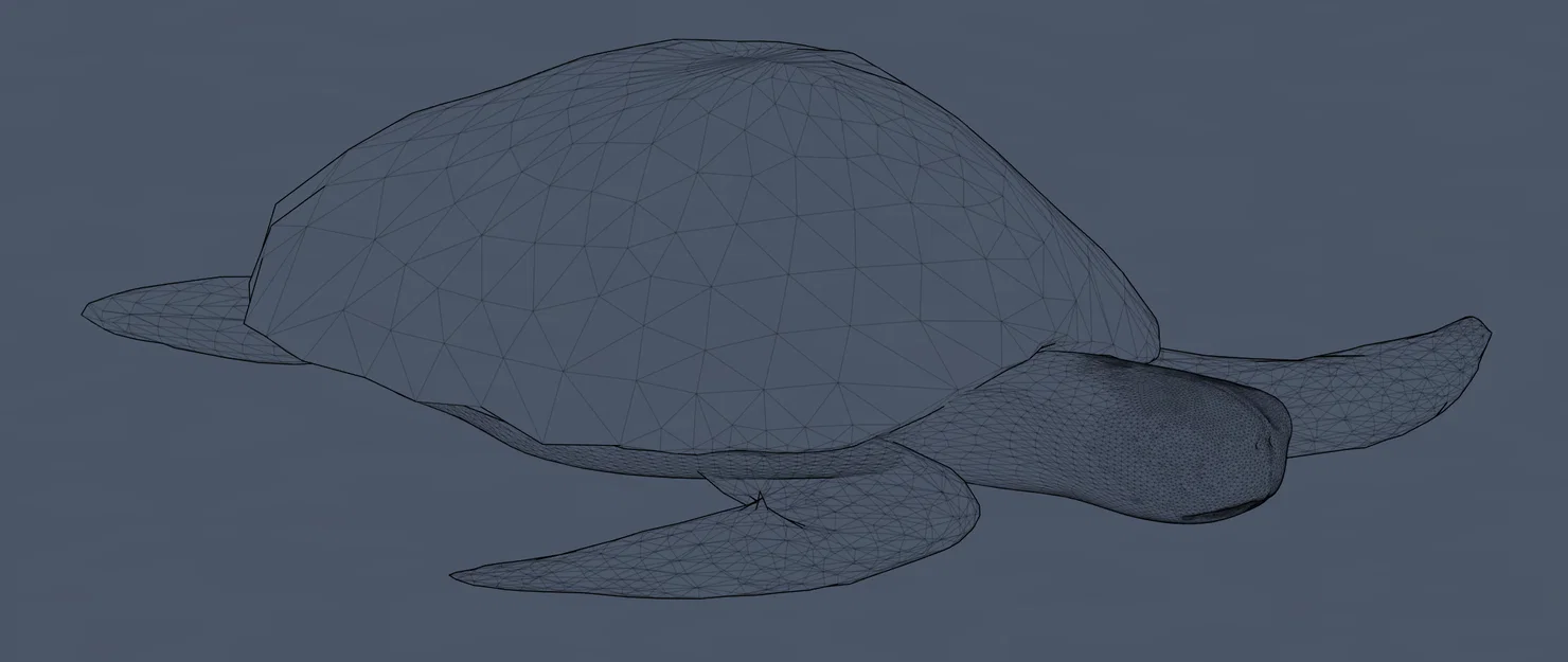 Mô hình Rùa Biển Nghệ Thuật (Poly Sea Turtle) in 3D đẹp mắt - Image 1
