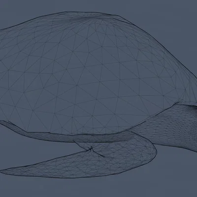 Mô hình Rùa Biển Nghệ Thuật (Poly Sea Turtle) in 3D đẹp mắt