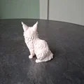 Mô hình Mèo lông dài - Thumbnail 2