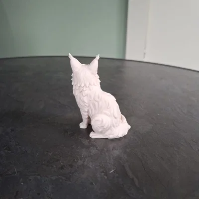 Mô hình Mèo lông dài