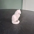 Mô hình Mèo Lông Dài - Thumbnail 3