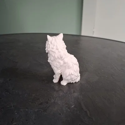 Mô hình Mèo Lông Dài