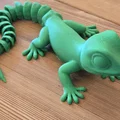 Mô hình thằn lằn đuôi dài cử động linh hoạt - Mẫu in 3D độc đáo - Thumbnail 1