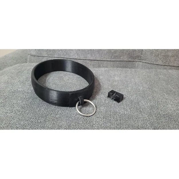 BDSM Collar - Kiểu khóa chốt (pin lock) - Image 1