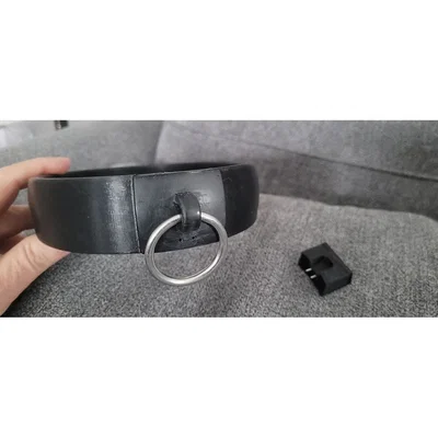 BDSM Collar - Kiểu khóa chốt (pin lock)