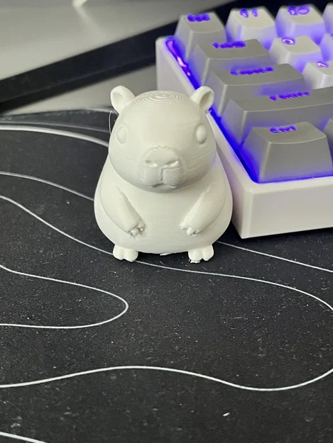 Capybara Chibi Đáng Yêu (Mẫu cho phép bán thương mại!) - Image 3