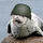 NerpaKo_3731401