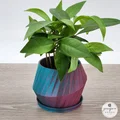 Chậu Cây Low-Poly Hiện Đại Tối Giản - Thumbnail 1