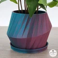 Chậu Cây Low-Poly Hiện Đại Tối Giản - Thumbnail 2