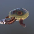 Mô hình rùa cổ đại Axestemys in 3D sống động từ kỷ Phấn trắng - Thumbnail 2