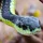 DadooNathan_3113730