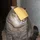 Wiltan_1976436