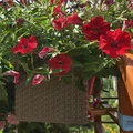 Dụng cụ cân bằng chậu cây Planter Horizontalizer - Thumbnail 2