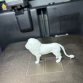 Tượng Sư Tử Oai Vệ - Vật Phẩm Trang Trí Bàn Làm Việc Chân Thực - Thumbnail 4
