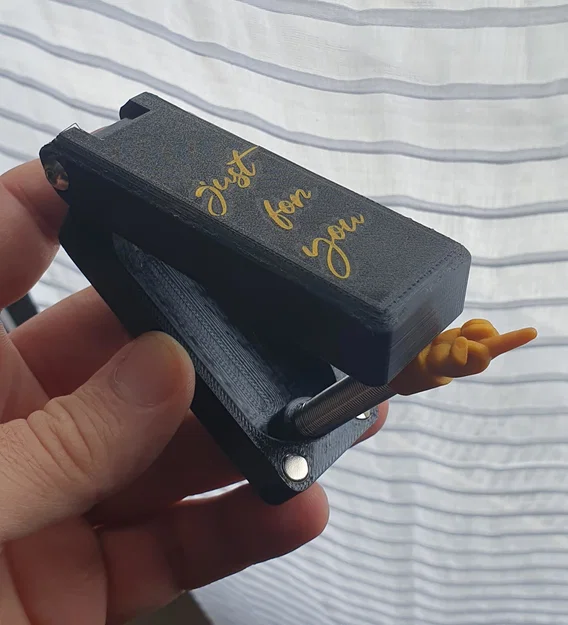 Hộp quà bất ngờ Surprise Box - Mô hình in 3D trêu đùa hài hước - Image 2