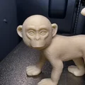 Mô hình tinh tinh (Chimp) trang trí để bàn - Thumbnail 3