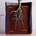 Chậu cây ‘Dune’ với bề mặt vân nổi độc đáo - Thumbnail 5