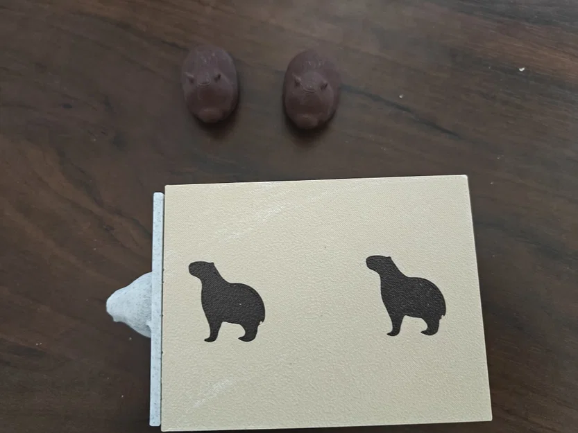 Capybara Lock Box — Hộp Ngăn Kéo Khóa Từ Kết Hợp Hai Chìa Khóa - Image 9